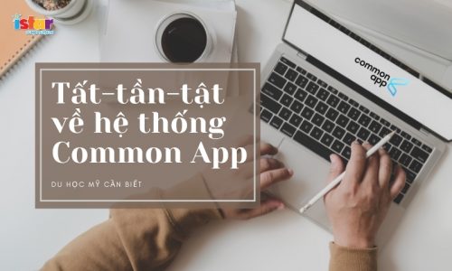 he-thong-common-app